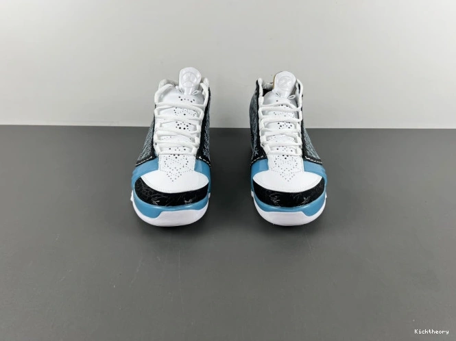 Kick Theory 23 Jordan UNC 318376-041 0812
